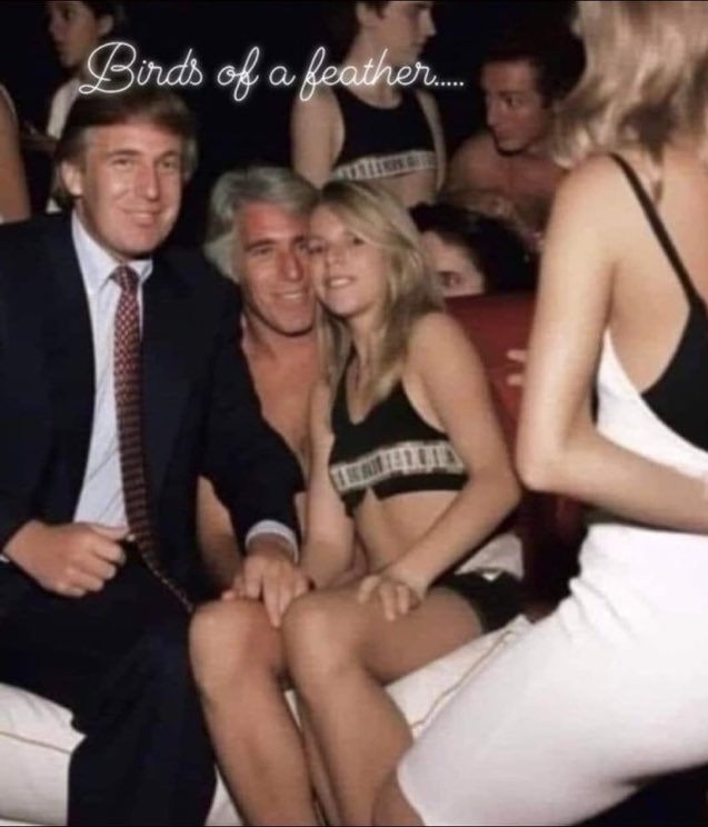 BIRDS OF A FEATHER FLY TOGETHER