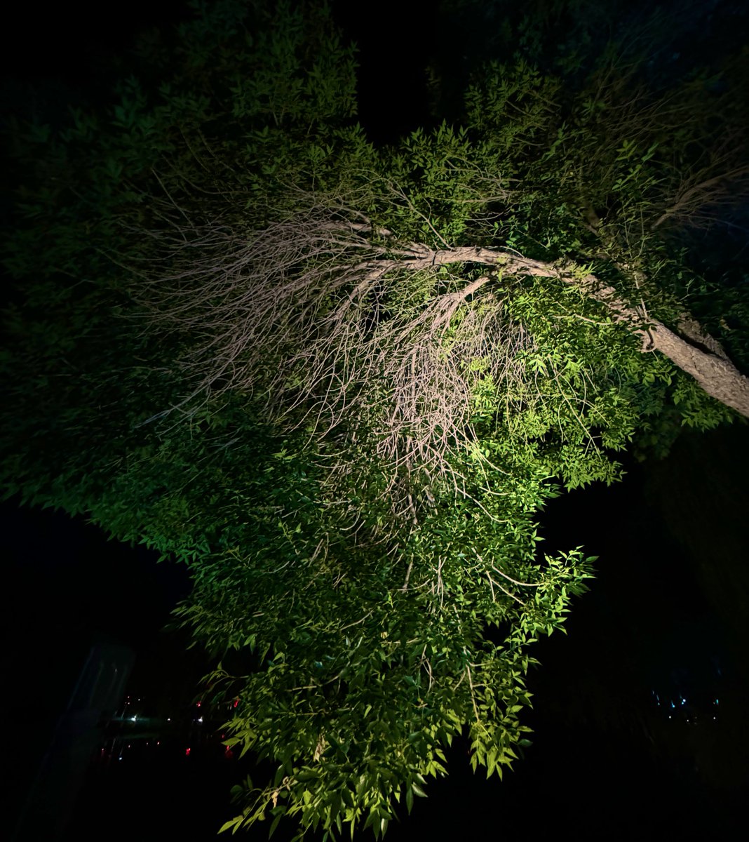 xiaomustock's tweet photo. 现在很困难，但人最重要的是活着，任何时候不要萌生放弃生命的想法。
我20年因为312亏完负债的时候曾经也有过这种想法，后来想通了，死都不怕还怕催收还怕欠钱还担心征信。
因为家里比较贫穷，没法得到家里的帮助，我亲姐几年的工资给我还了大部分债务，还剩一些贷款，我从那天起断供了，钱留着吃饭，留着翻身。正巧7月defi爆发，连续链上现货梭哈yfi，yfii，yam，珍珠peal，tai一个月时间把我救回来了。一个以太坊赚赚了俩百多万。

亏都是合约亏的负债的，最终还是靠现货把我救了，感谢那一年的defi，从那之后年底，uni发空投，因为链上uniswap买的yfii，一个地址400个单价刚开始5u，因为很多人不会链上买，帮好几个人买了转给他们，我自己的其他地址也都拿了空投。

回头想想当时那段时间很痛苦，但也是我人生最宝贵的经历。任何时候都别有放弃生命的想法，你的机会可能需要再坚持一俩个月就会来。