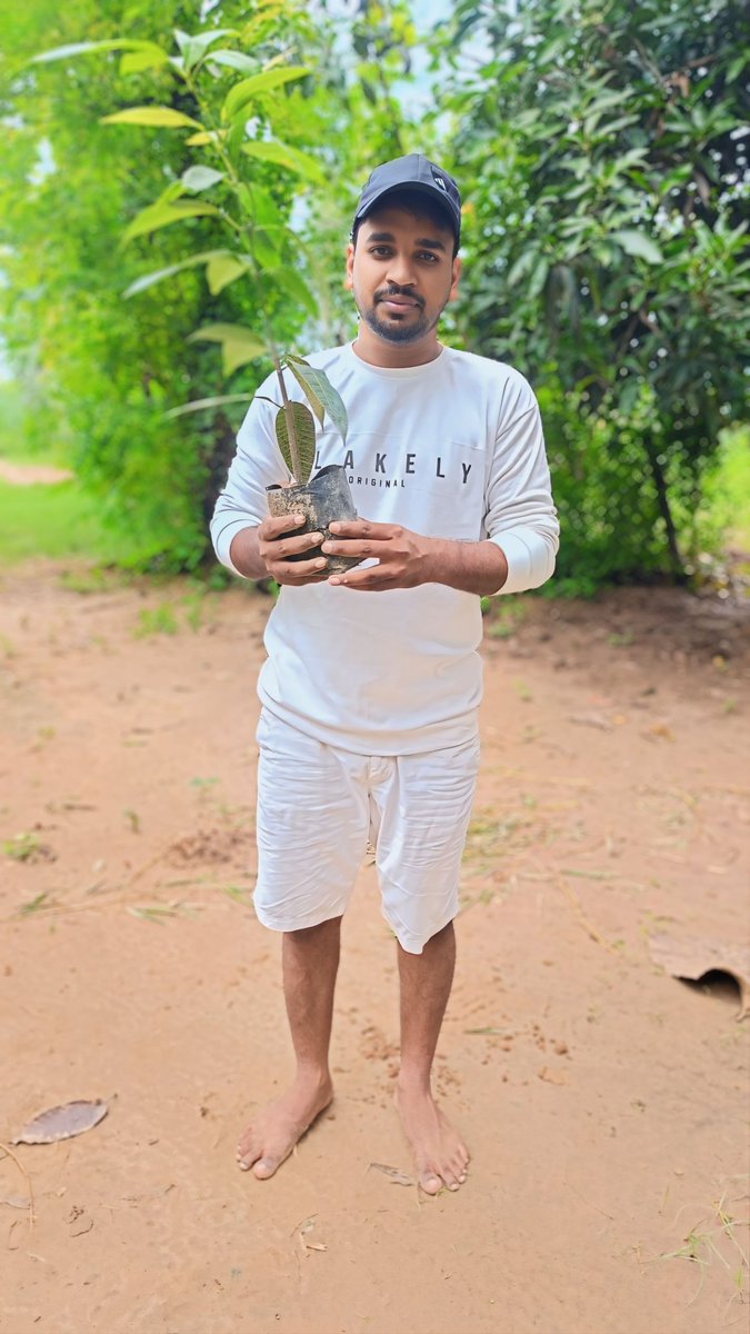 Cgmaurya9911's tweet image. चलो चलें हम पेड़ लगाएं..🌳

#savetreesavelife