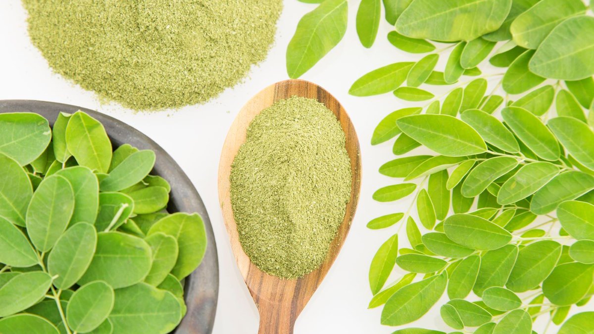 ecoticiasRED's tweet image. La Moringa oleifera es un voluminoso árbol nativo del norte de la India, del que se pueden ingerir o se utilizan como ingredientes para la fabricación de medicinas a base de hierbas, casi todas sus partes. #antiinflamatorio #antioxidante
ecoticias.com/?p=259293