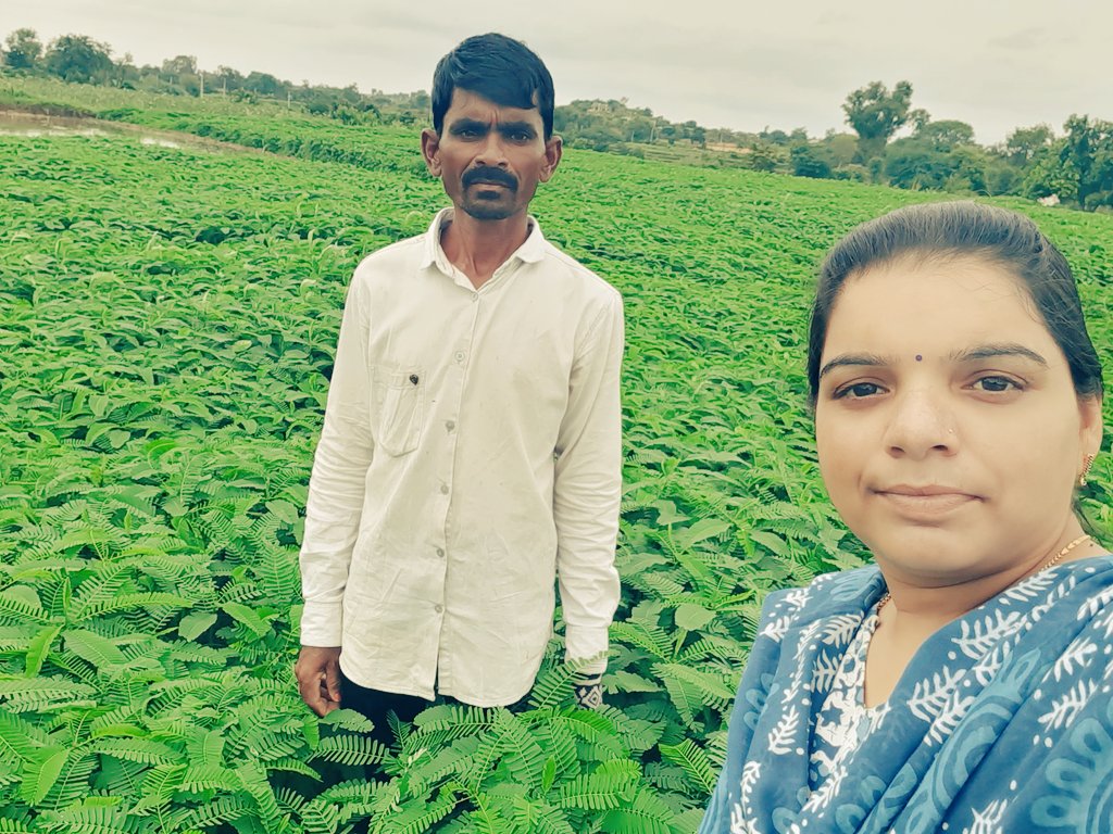 PrashanthiAEO's tweet photo. Visited Dhaincha green manure crop and crop booking done in Appireddypalli village of Jajapur cluster Narayanpet mandal @DirectorAgriTS @MJSudhakar8 https://t.co/NmjZu2lfGN