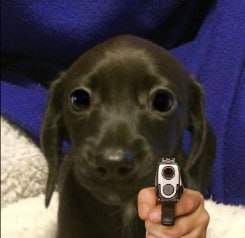 theBellyCTO's tweet photo. I'm not saying to buy but... 🔫 https://t.co/gqmZqFTdEv