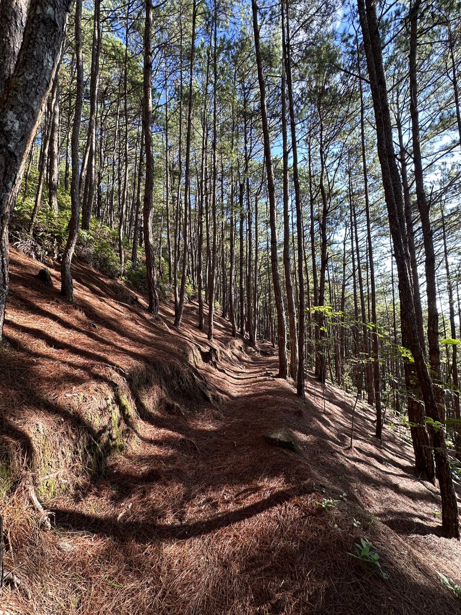 KevinJamesSo's tweet photo. that was fun 🫨 #alterbaguio https://t.co/nItNfywwhz