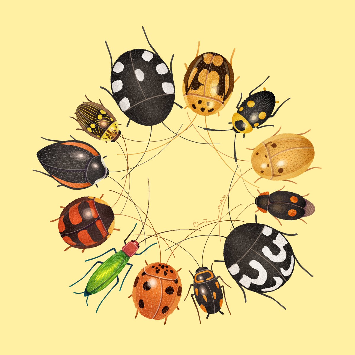 Chentomology tweet media