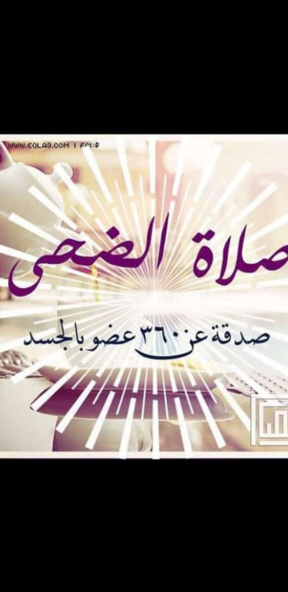 همسة وفاء (@ismailalsh74877) on Twitter photo 