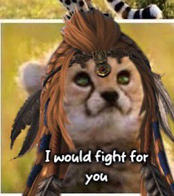 Mahal is DAWNTRAIL READY🌙🍉 on X: "Wuk Lamat is such a precious kitty that  deserves all the love and appreciation I mean how can you not like her?!  https://t.co/wr6wfOXPzY" / X