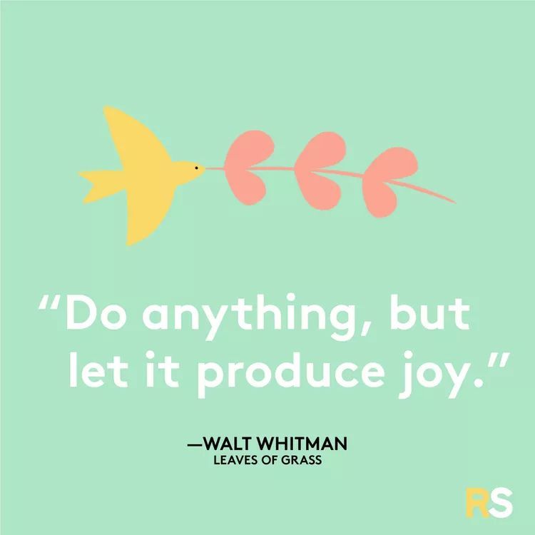 Joo_Cym's tweet photo. Quote of the day

Rule #32 - Enjoy the little things https://t.co/MfXF2JQXzJ