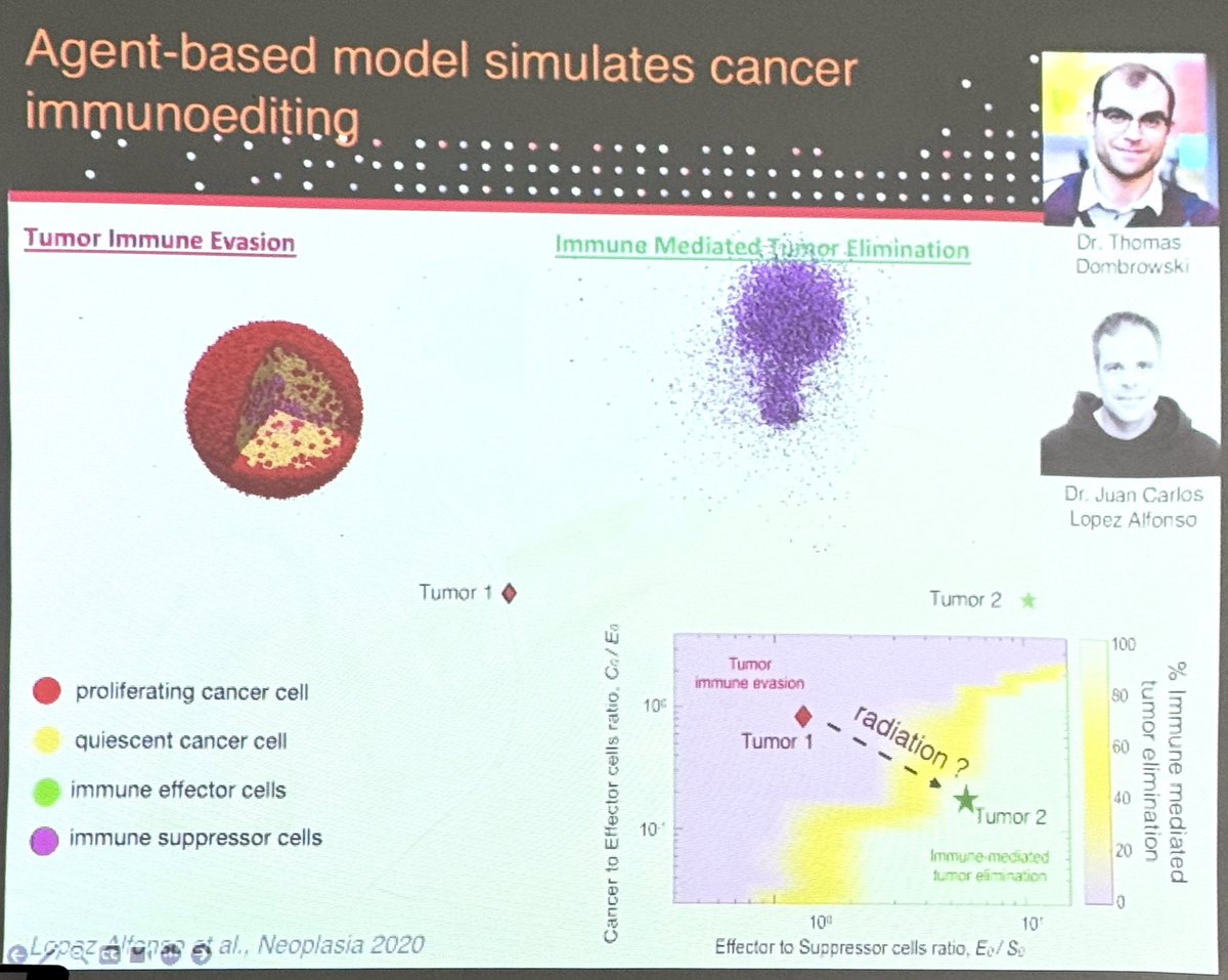 ara_anderson's tweet image. Now at Data-based models in immuno-oncology symposium organised by Kevin Thurley, Farnoush Farahpour &amp;amp; @mkjolly15 with friend and former @mathonco member @HeikoEnderling kicking things off with, Using radiation to modulate patient-specific tumor-immune ecosystems #SMB2024 #KSMB