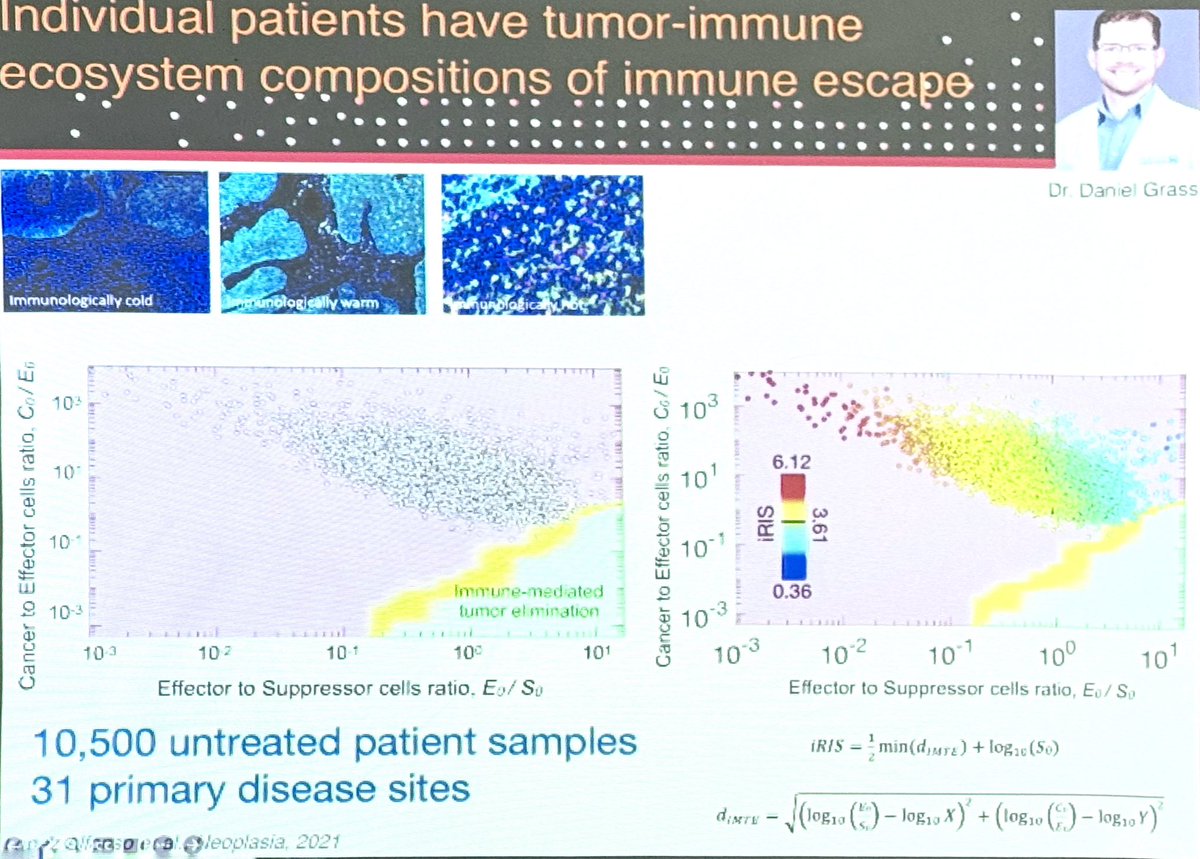 ara_anderson's tweet image. Now at Data-based models in immuno-oncology symposium organised by Kevin Thurley, Farnoush Farahpour &amp;amp; @mkjolly15 with friend and former @mathonco member @HeikoEnderling kicking things off with, Using radiation to modulate patient-specific tumor-immune ecosystems #SMB2024 #KSMB