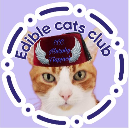 Angel Murphy & Angel 😇 Boo 🌈 🌉 tweet media