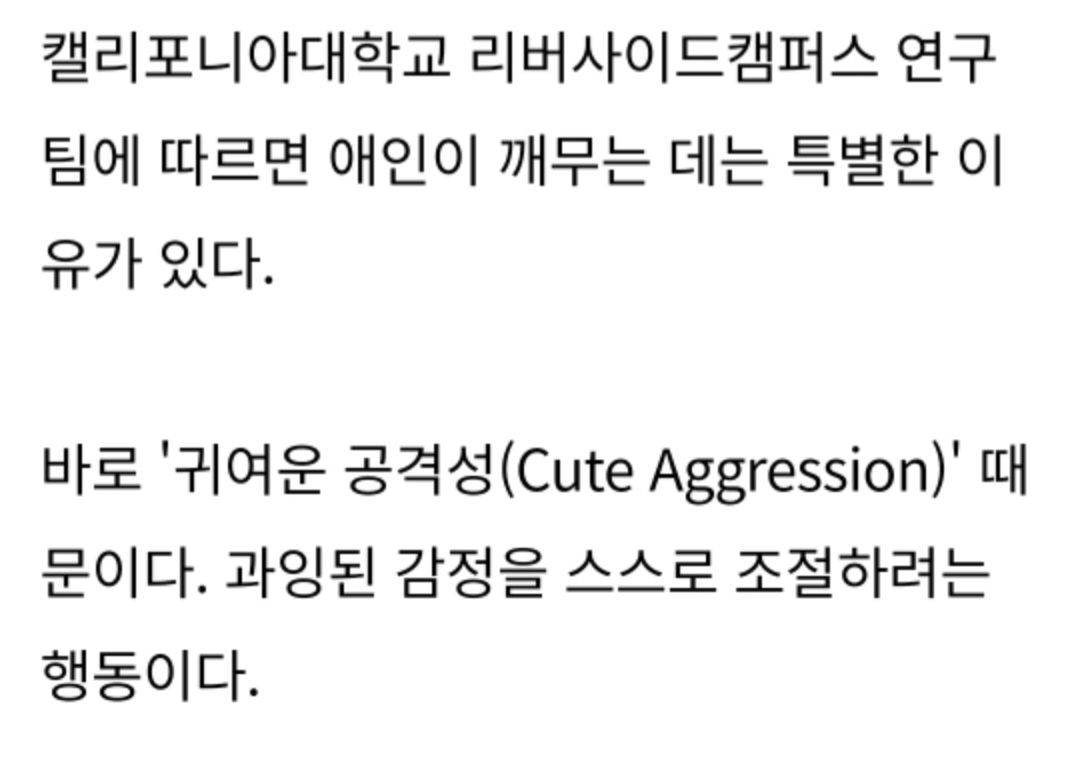 no_reply_only's tweet photo. 그랬군 https://t.co/A5xElUJYIQ