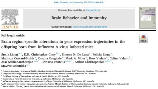 A pivotal multi-disciplinary study led by <a href="/RMIT_CRSH/">Centre for Respiratory Science and Health</a> researchers  showing that influenza infection during pregnancy may disrupt offspring neurodevelopment
sciencedirect.com/science/articl…