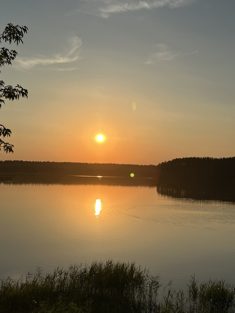 benscomsica1973 tweet media