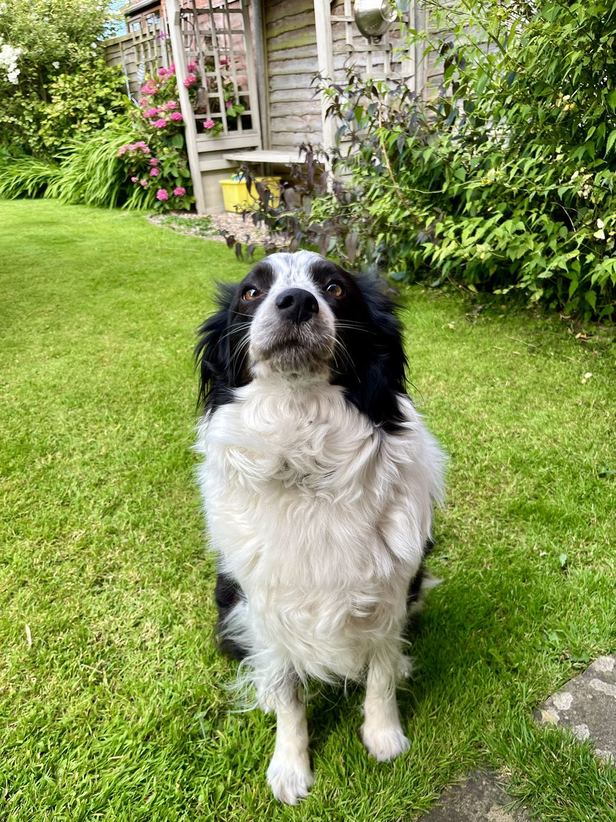 Andy Whittaker tweet media