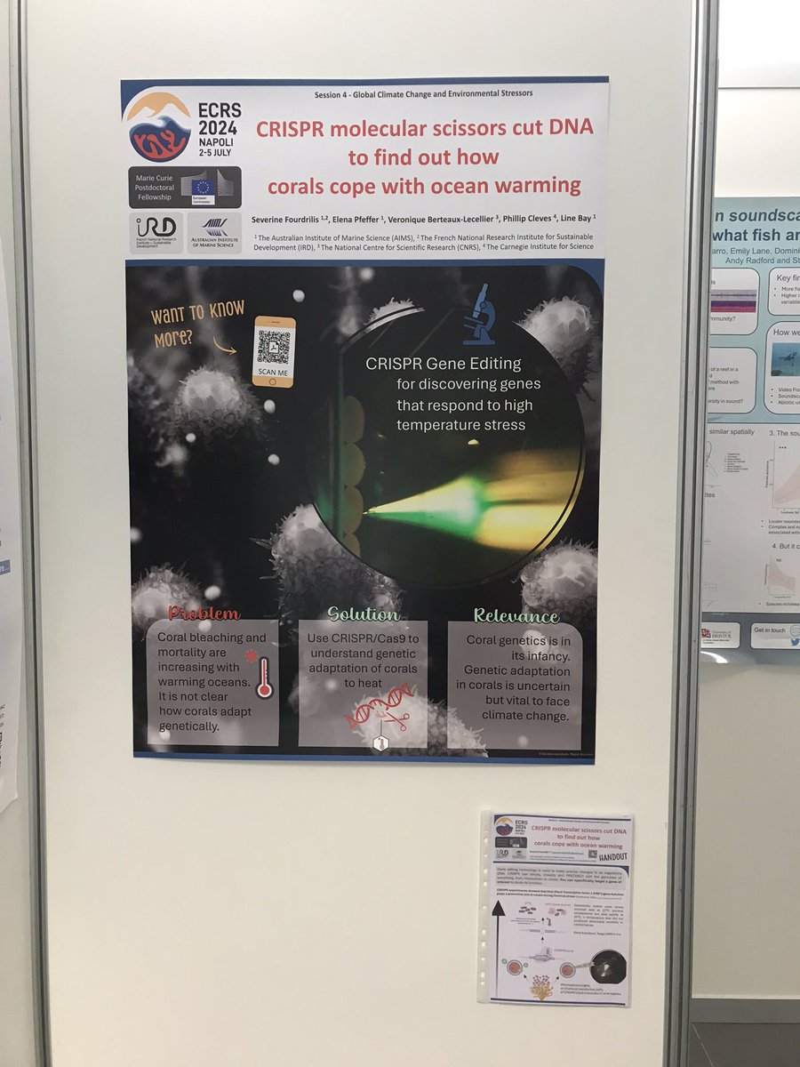 Séverine Fourdrilis (@sfourdrilis) on Twitter photo Come to check my poster out <a href="/Ecrs2024/">ECRS 2024</a> on CRISPR gene Editing in corals ! Looking forward to exciting discussions ! A research with <a href="/pacleves/">Phillip Cleves</a> <a href="/VLecellier/">Veronique Berteaux-Lecellier BERTEAUX-LECELLIER</a> <a href="/LineKBay/">Line K Bay</a> Come to check my poster out <a href="/Ecrs2024/">ECRS 2024</a> on CRISPR gene Editing in corals ! Looking forward to exciting discussions ! A research with <a href="/pacleves/">Phillip Cleves</a> <a href="/VLecellier/">Veronique Berteaux-Lecellier BERTEAUX-LECELLIER</a> <a href="/LineKBay/">Line K Bay</a>