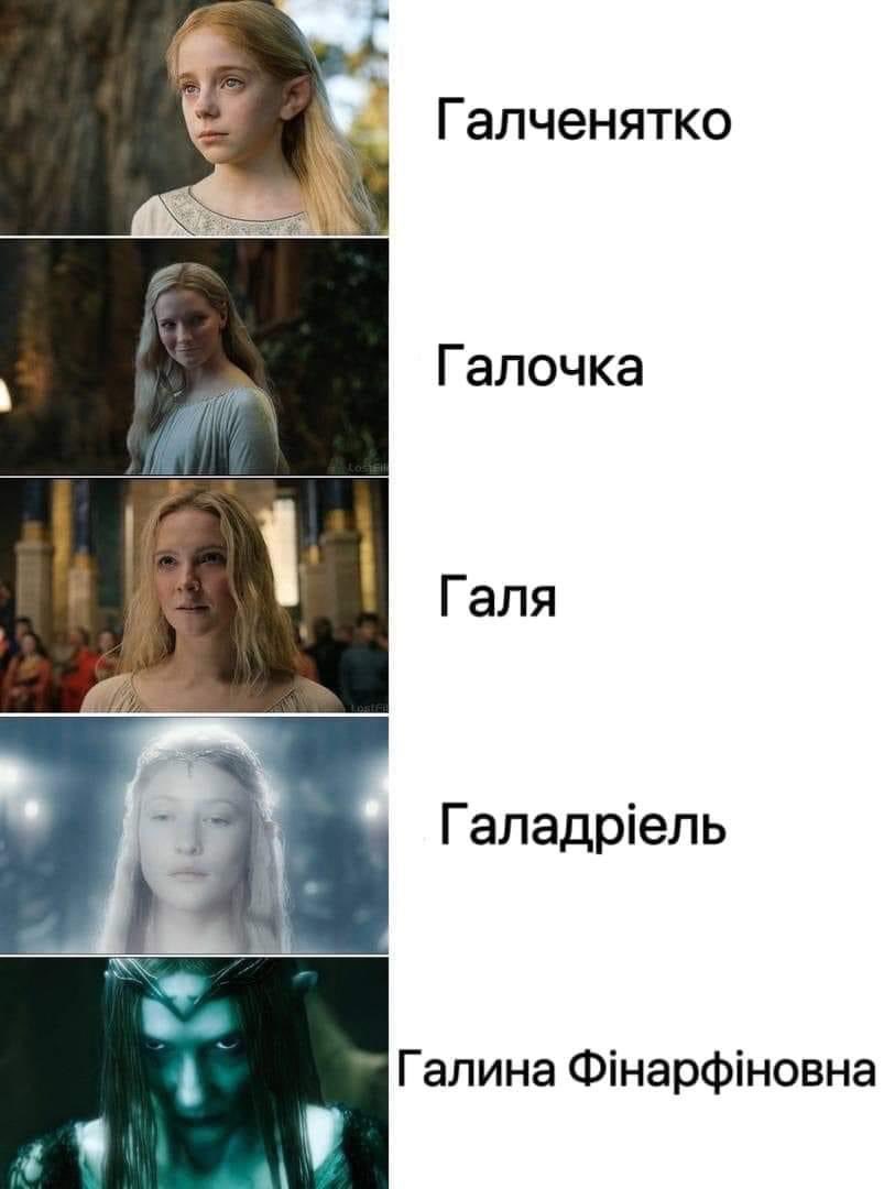 🦤💀🦴⛏️Paleo_Daddy⛏️🦕🦖🦣 (@paleo_daddy) on Twitter photo 