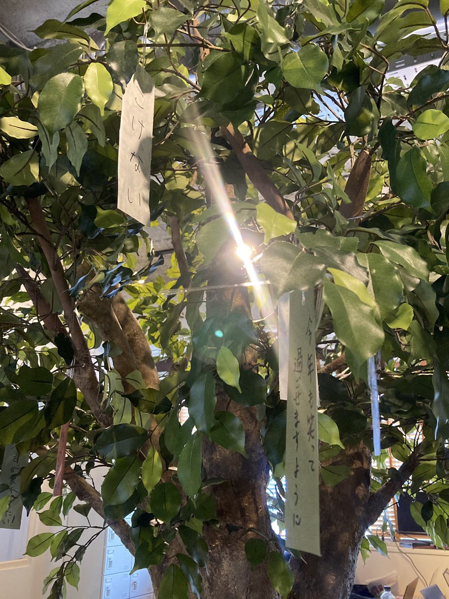 Cyujo_com's tweet image. Cyujoの七夕🎋
みんなの夢が🌌
叶いますように🙏🏻