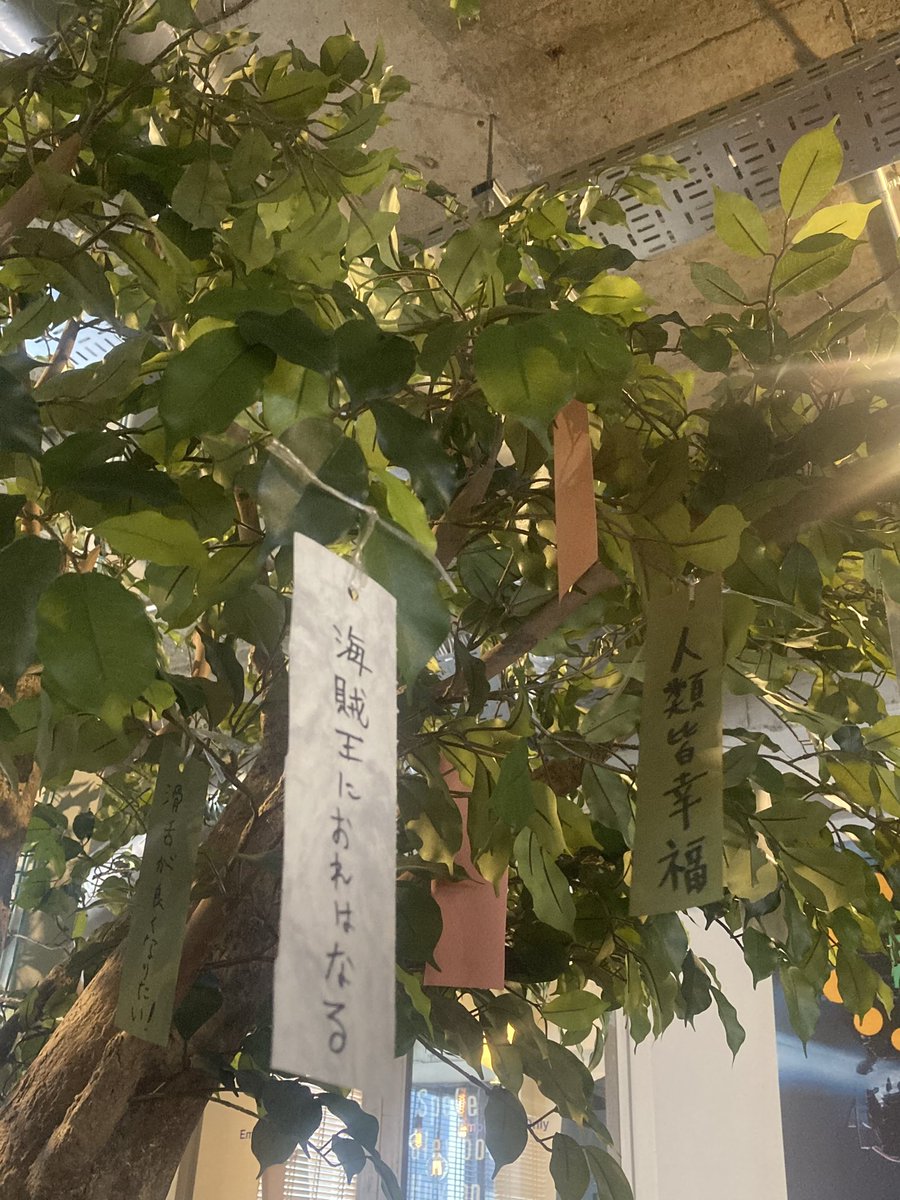 Cyujo_com's tweet image. Cyujoの七夕🎋
みんなの夢が🌌
叶いますように🙏🏻