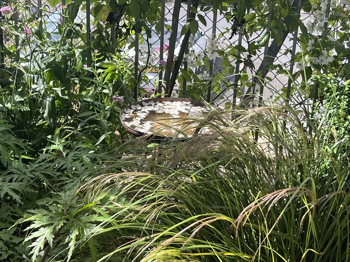 Case Management Cym tweet media