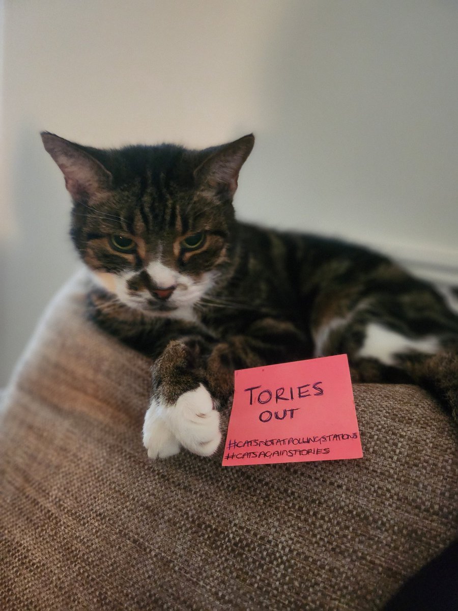 Emma Bennett tweet media