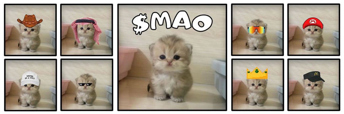 ChartFu猴子 tweet media