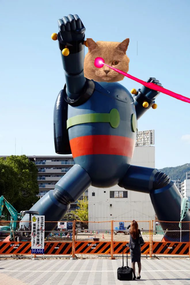 DevCat 💻 tweet media