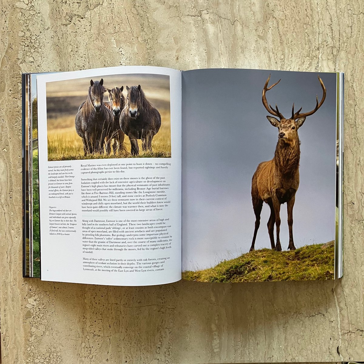 We are thrilled to announce the release of our new hardback book "National Parks of the United Kingdom"! Celebrate the 75th anniversary of our beautiful National Parks, this book takes you on a journey through our most precious natural wonders. 

ow.ly/rTWF50Sve2b