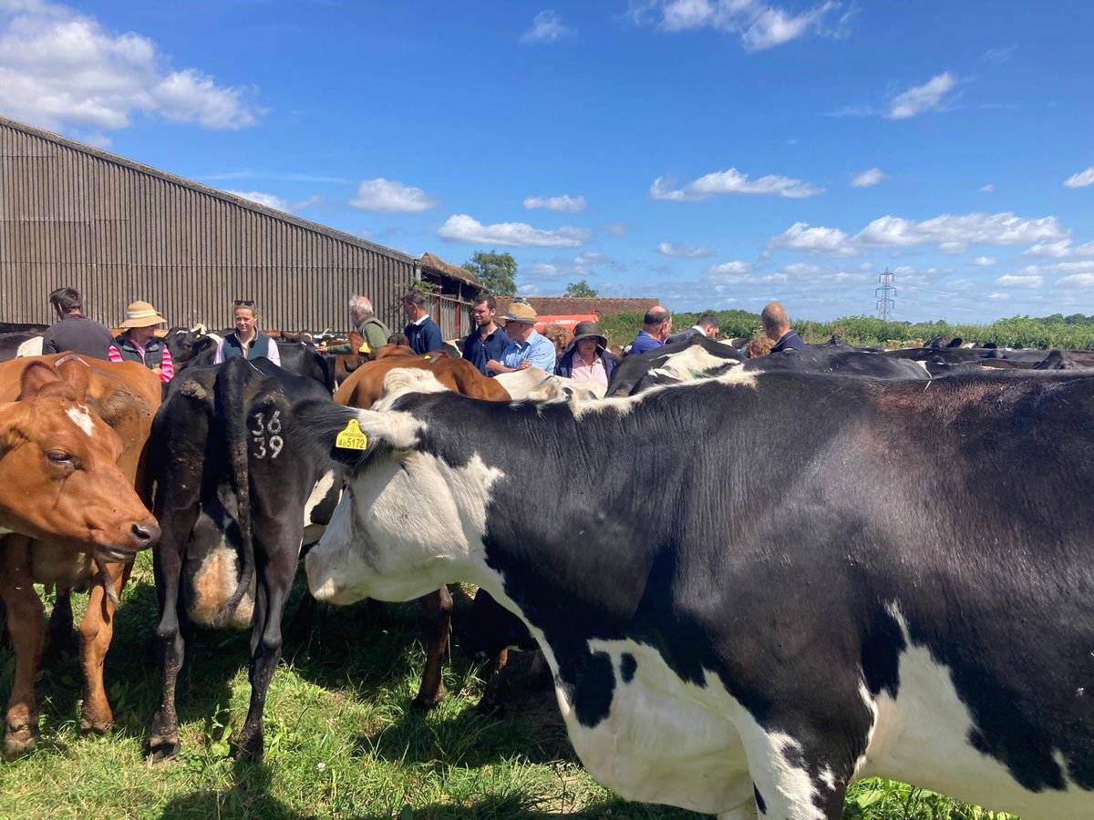BGS (@britishgrass) on Twitter photo Our first visit on the final day of the BGS Summer Meeting was to Marshalls Farm. Kate Lywood and <a href="/jwaytweets/">Jeremy Way</a> explained about their organic spring calving dairy herd. We also heard about herbal leys, parasitic wasps and methods of reducing heat stress in the herd <a href="/GrasslandDorset/">Dorset Grassland Society</a> Our first visit on the final day of the BGS Summer Meeting was to Marshalls Farm. Kate Lywood and <a href="/jwaytweets/">Jeremy Way</a> explained about their organic spring calving dairy herd. We also heard about herbal leys, parasitic wasps and methods of reducing heat stress in the herd <a href="/GrasslandDorset/">Dorset Grassland Society</a>