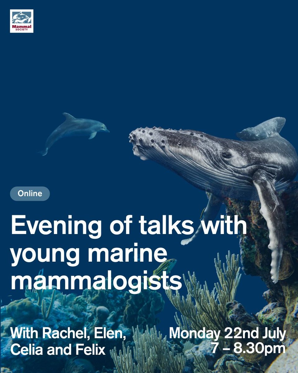 🚨Event Alert! Are you interested in marine biology?

✨ Join us for an evening of youth talks where we'll be joined by a number of student researchers and passionate young people to explore the underworld of marine mammals.

🎟️ Get your free ticket below

buff.ly/3XPmXdW