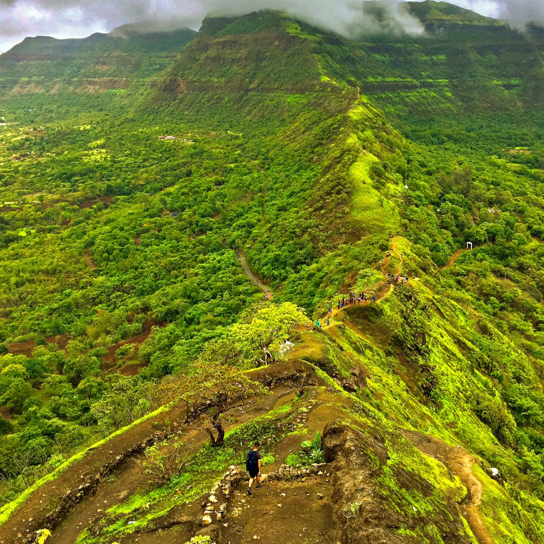 MyTourBox's tweet photo. Discover the lush, misty trails of the Western Ghats this monsoon for an unforgettable trekking adventure! #  Perfect for an adventurous escape into nature's embrace!

#MyTourBox  #MonsoonTrek #WesternGhats #NatureLovers #AdventureTrails #IncredibleIndia https://t.co/AUNcv8YbdP