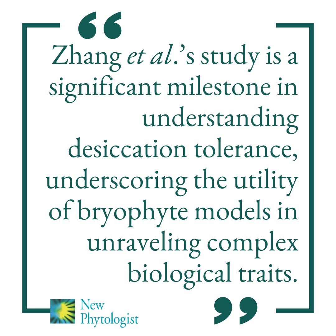 Resurrection #plants revisited: bridging the gap between #bryophytes and #angiosperms to decode desiccation tolerance

📖 ow.ly/xpso50SryyP

👆 A #Commentary by <a href="/RoseAMarks1/">Rose A Marks</a> on this article by Zhang et al. 
👇

📖 ow.ly/Kqob50Stwuf

#LatestIssue <a href="/wileyplantsci/">Wiley Plant Science</a>