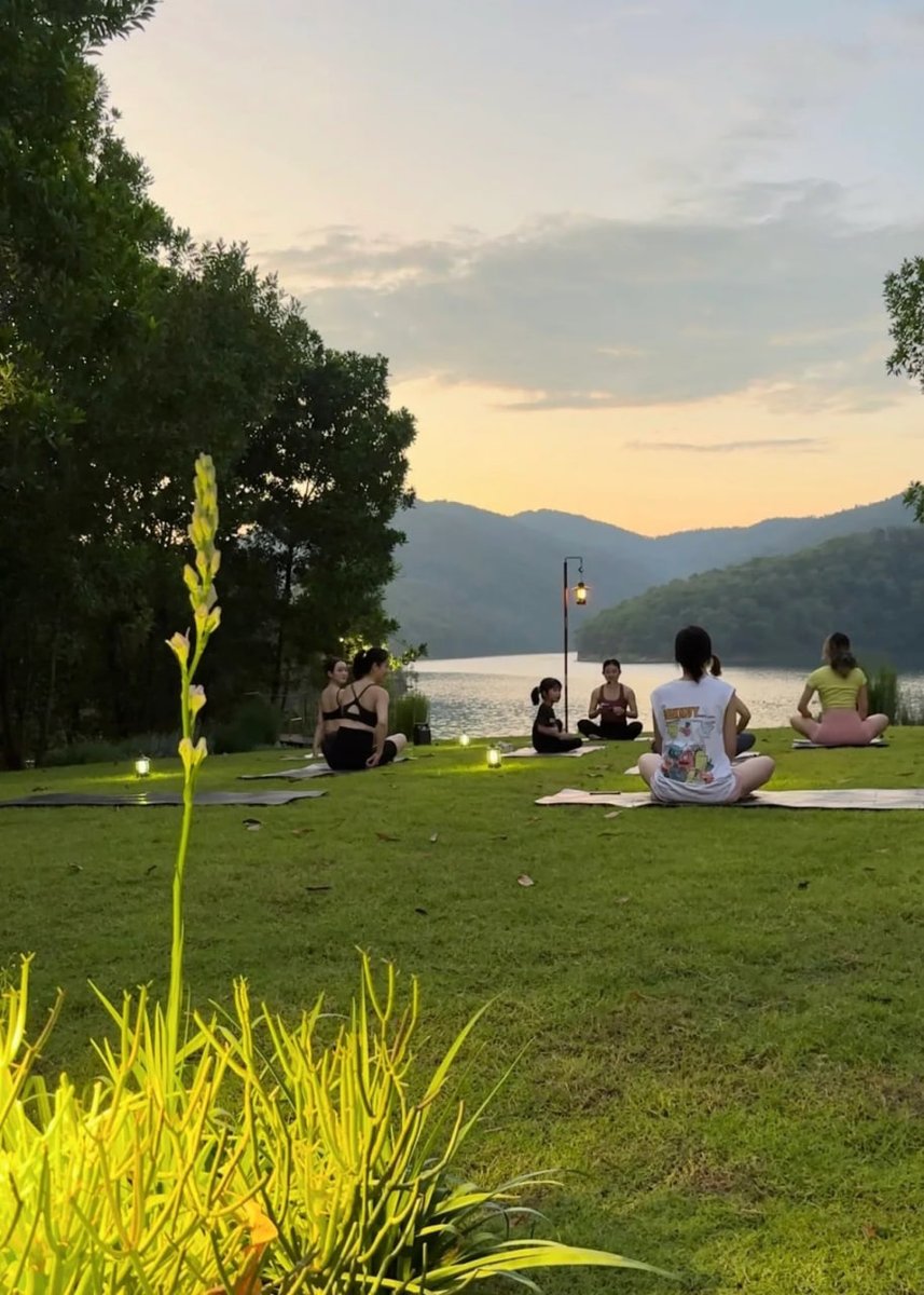 Suddenly broke into nature 🍡🌷🐌🏃🏻‍♀️🥑🐿
Experience lawn yoga 🤡