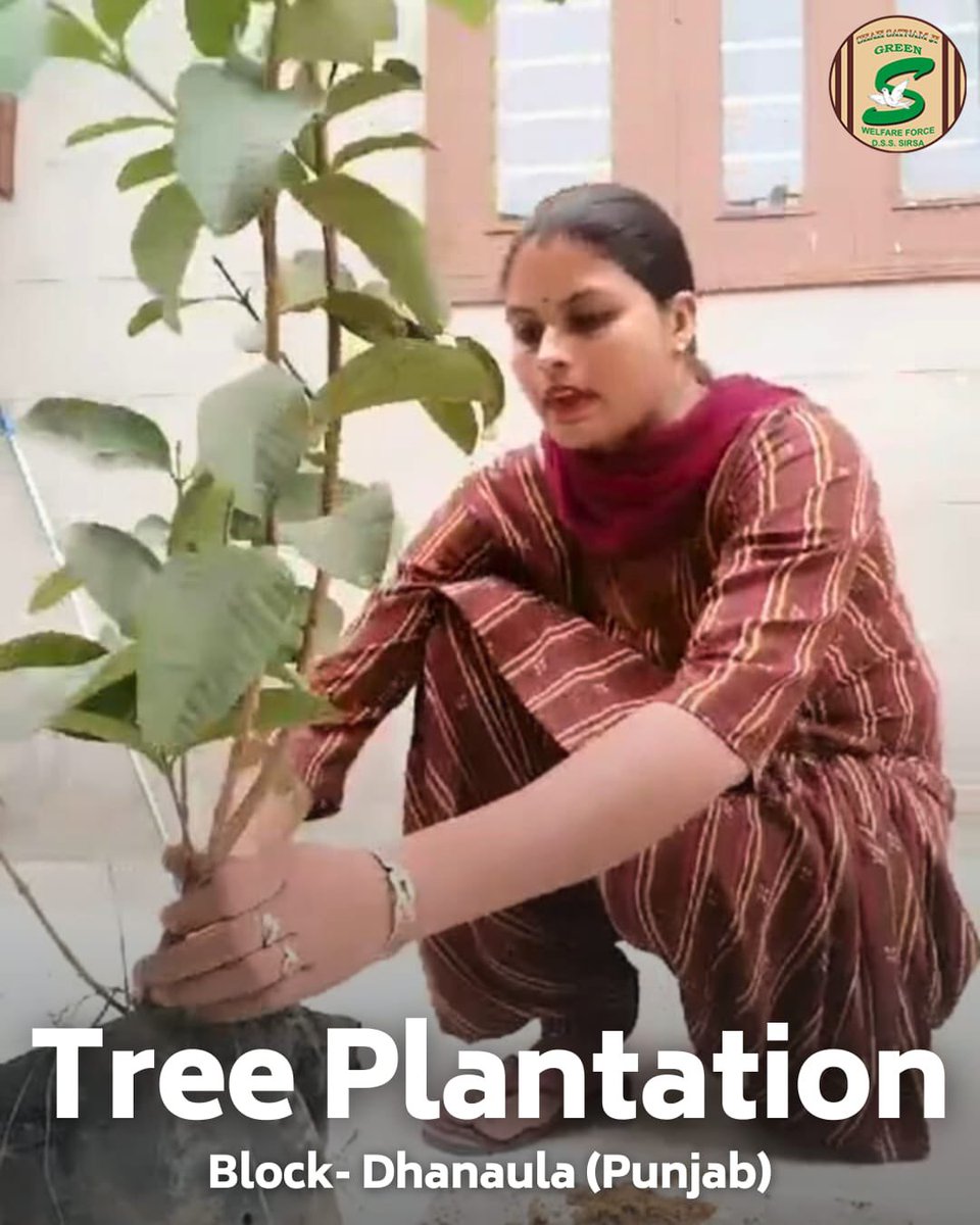 GreenSwelfares's tweet photo. Planting for a Greener Tomorrow!
Shah Satnam Ji Green ’S’ Welfare Force Wing volunteers are making a positive impact on the environment by planting saplings. Their dedication to enhancing green spaces contributes to a healthier, more sustainable planet for future generations. 
Let's support and celebrate these efforts to create a cleaner, greener world!

#TreePlantation #EcoFriendly #DeraSachaSauda
