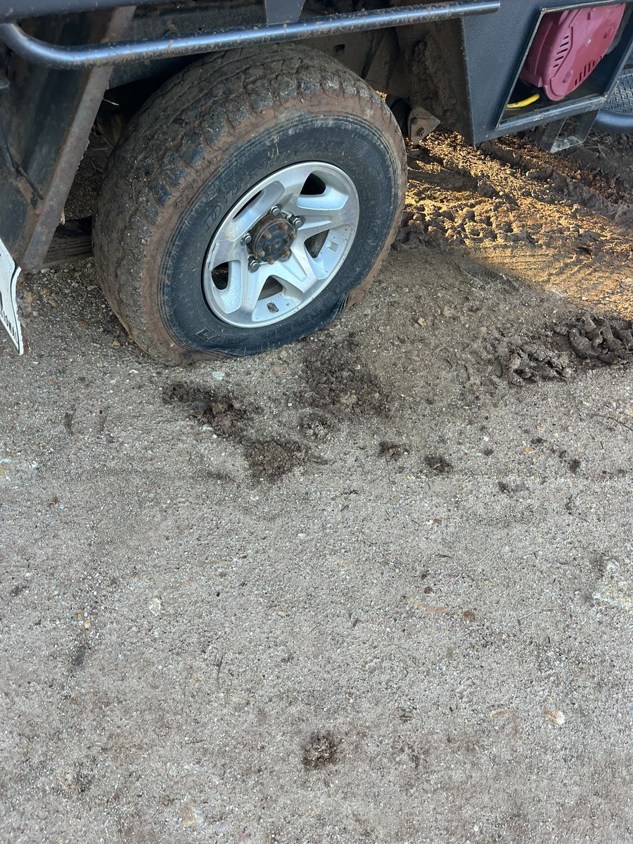 Morton Farming tweet media