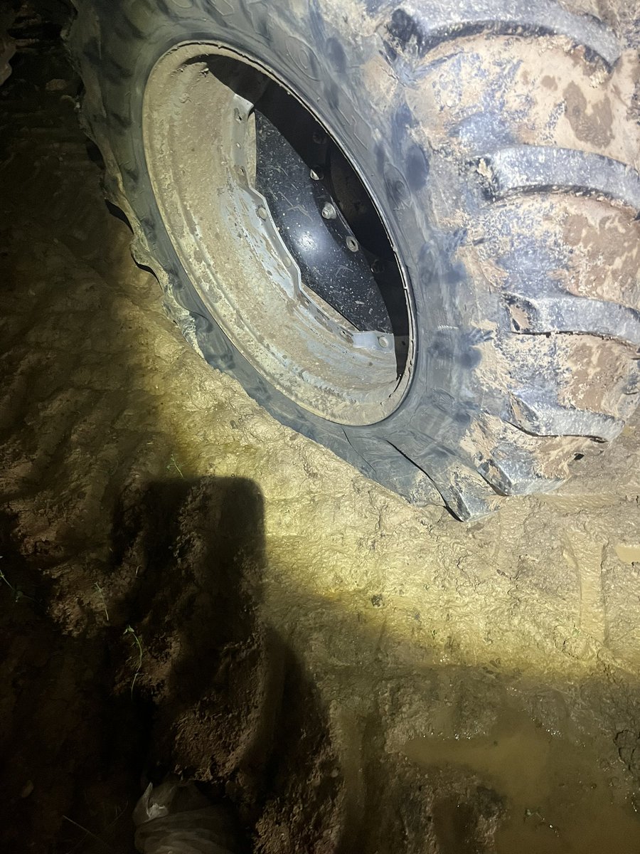 Morton Farming tweet media