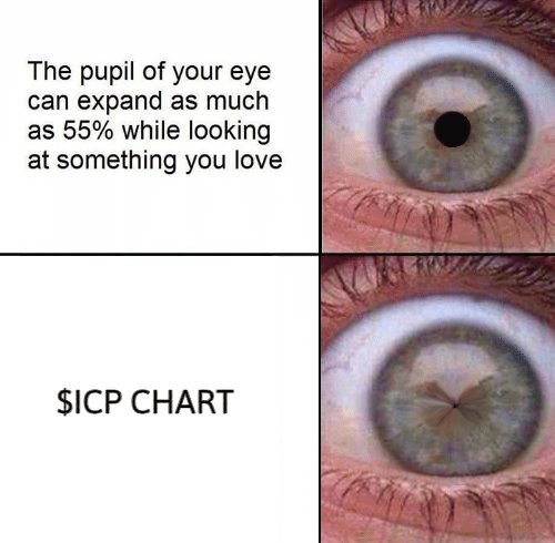 GM frens ☕️🔴🟢 #cryptonews #bear #bull #icp