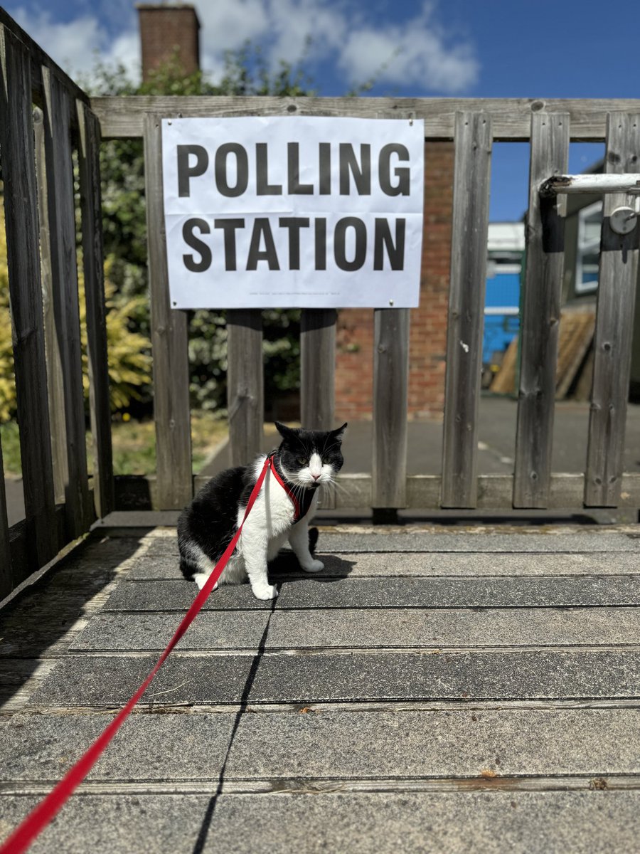 deepblueyonder's tweet image. Something different for  #dogsatpollingstations