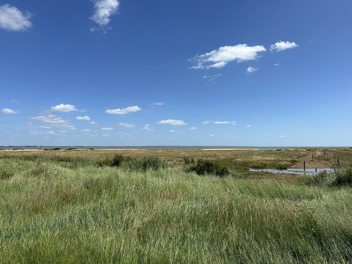 Carrie Prior tweet media