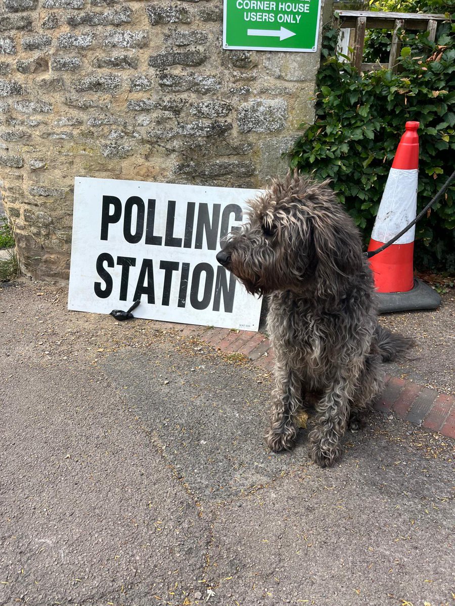Looking forward to a massive party tonight #DogsAtPollingStations