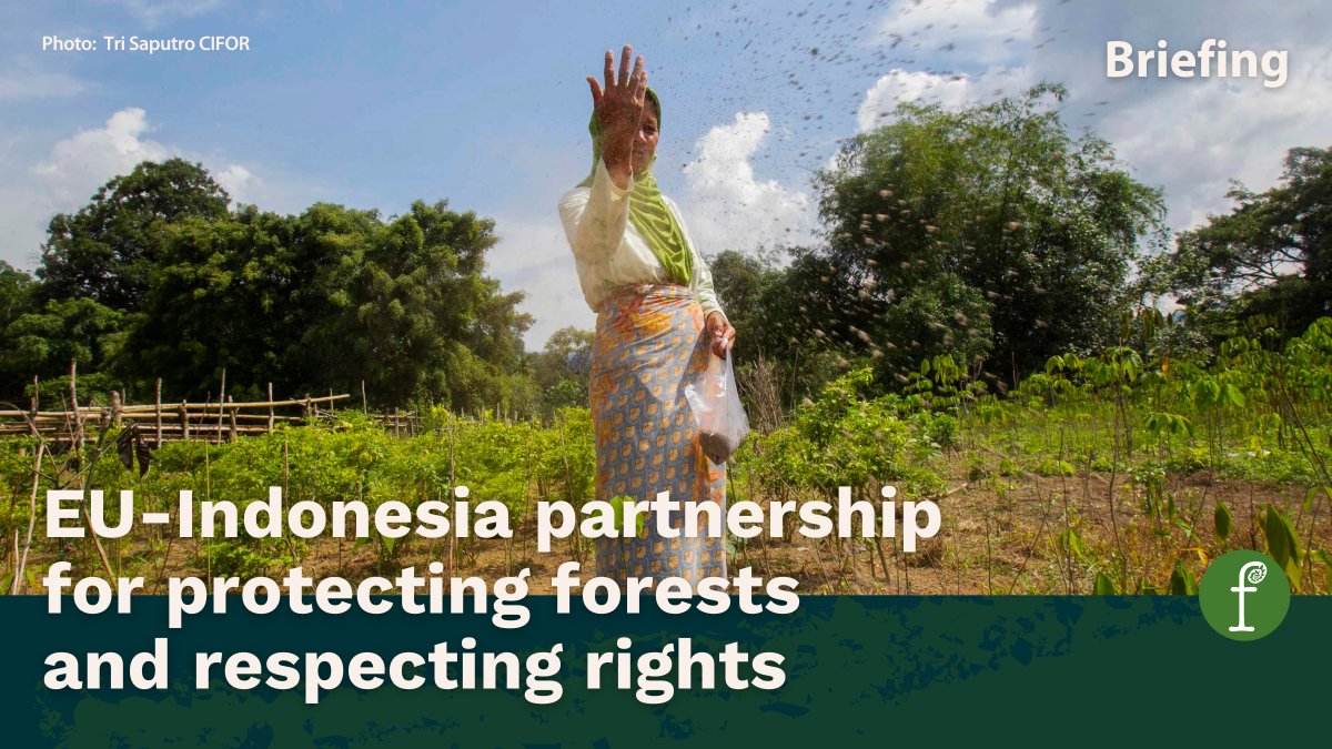 Fern (@fern_ngo) on Twitter photo Compliance with the EU anti-deforestation regulation (#EUDR) is a significant challenge for Indonesian companies & farmers, and requires a collaborative approach between the EU, local government & civil society.
Read our new briefing’s recommendations 👇
fern.org/publications-i… Compliance with the EU anti-deforestation regulation (#EUDR) is a significant challenge for Indonesian companies & farmers, and requires a collaborative approach between the EU, local government & civil society.
Read our new briefing’s recommendations 👇
fern.org/publications-i…