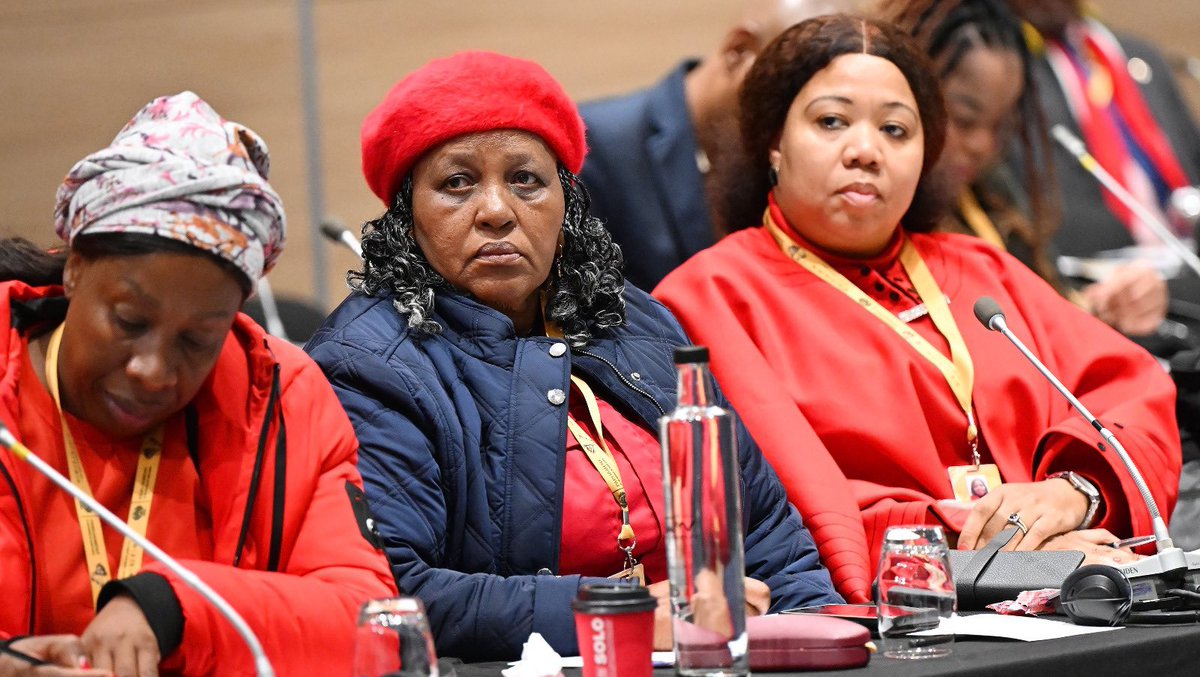 Gro Eff ♦️In Pictures♦️ The EFF National Council of Provinces (NCOP) members at ...