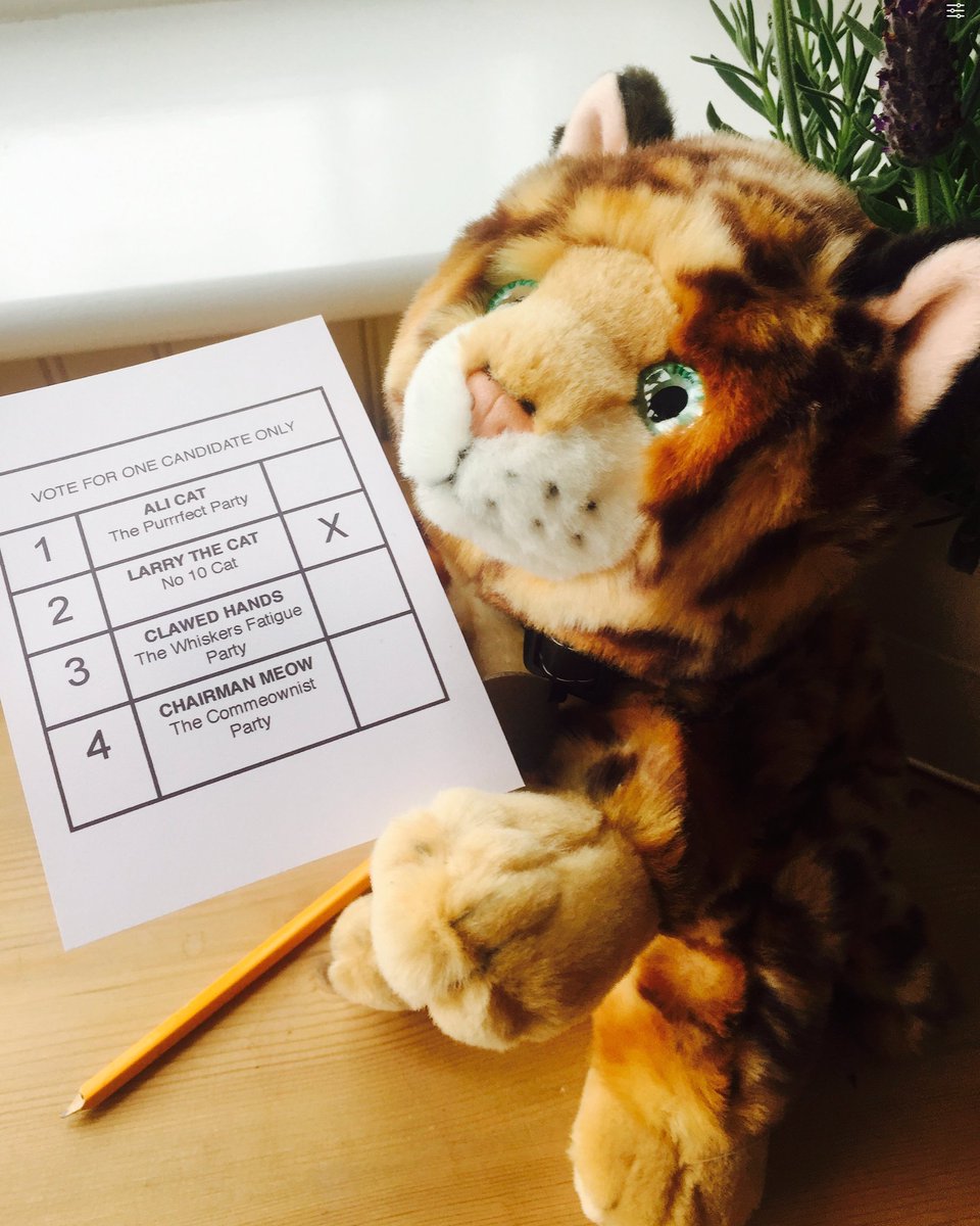DottySeaCat's tweet photo. #GeneralElection2024 @Number10cat 
In many places in the world, people are denied the right to vote. Don't forget to make your mark!❌😺✏️ https://t.co/IHMO3rSCut