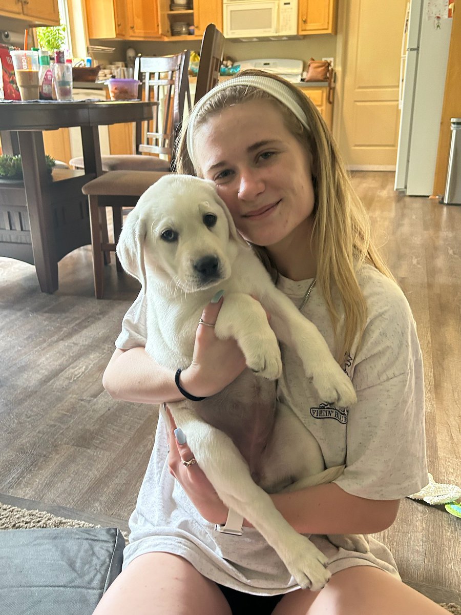 cthorius25's tweet photo. New addition to our family. Her name is Rosie and she is a fantastic little lab🤗 https://t.co/RK92b8xJKt