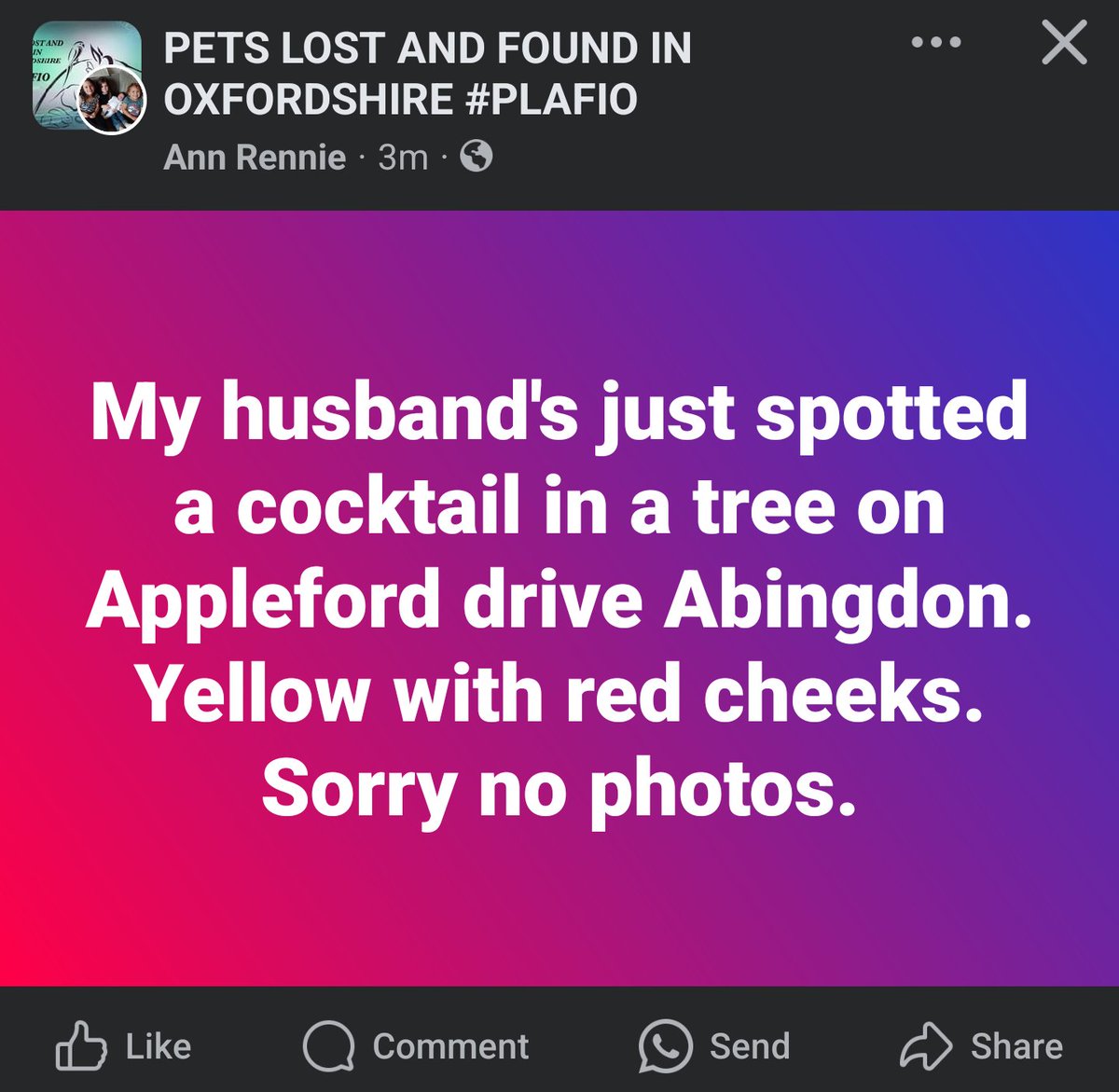 Strange place to announce your jaundiced husband might also be an alcoholic.