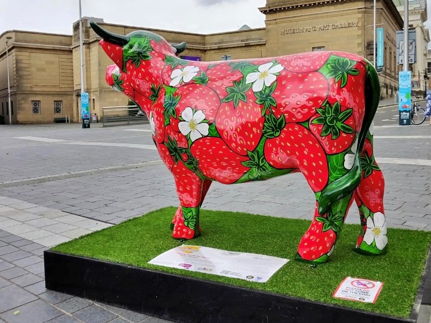 Tofthillfarm's tweet photo. Say hello to “Strawberry Fields For Heifer” (Hettie), our sponsored https://t.co/ZrRD6DHSGc.  Hettie will help @supportCHAS with their amazing work and is located outside Perth Concert Hall.  Painted by the talented Paulene Paterson, tag us in a selfie to enter a prize draw. https://t.co/89plJgwl4d