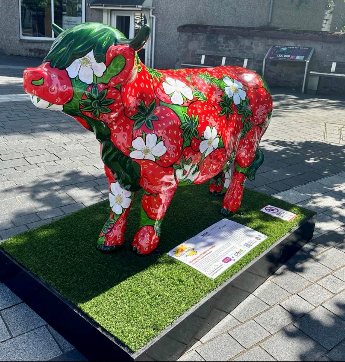 Tofthillfarm's tweet photo. Say hello to “Strawberry Fields For Heifer” (Hettie), our sponsored https://t.co/ZrRD6DHSGc.  Hettie will help @supportCHAS with their amazing work and is located outside Perth Concert Hall.  Painted by the talented Paulene Paterson, tag us in a selfie to enter a prize draw. https://t.co/89plJgwl4d