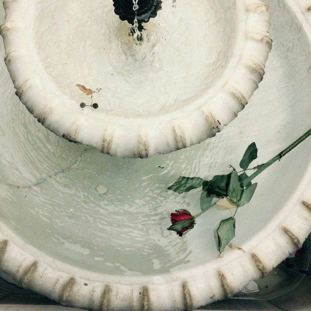birteraphy's tweet photo. "Biliyorum bir gün o sürekli bahsettiğim duayı kabul edeceksin Allah'ım sadece vakti var.." https://t.co/ZBfEj3fATx