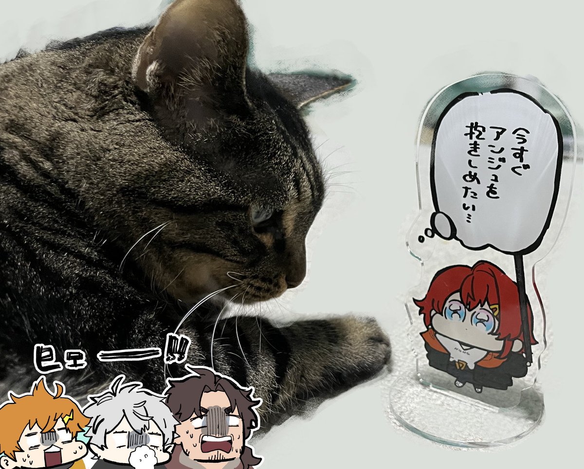 アクスタの実物です!
隣に置いたアクスタ、ぬい、フィギュア全てanちゃんの虜にすることができるアクスタです🫶⚖️
君だけの愛の空間を作っちゃおう🎶
(撮影協力:ポコちゃんさん
※本猫より投稿の許可をいただいてます)
#にじそうさく09 