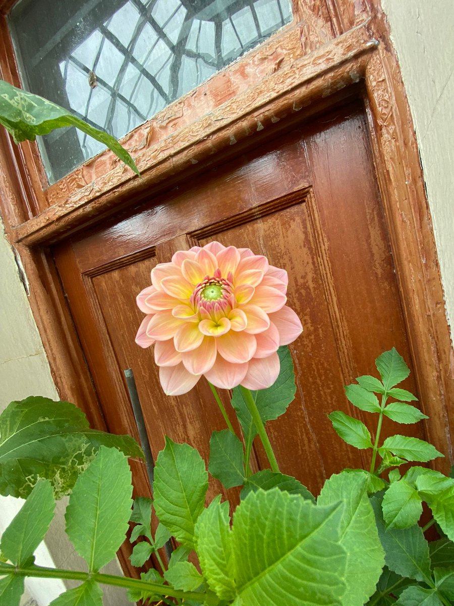 Hepworth’s Arcade tweet media