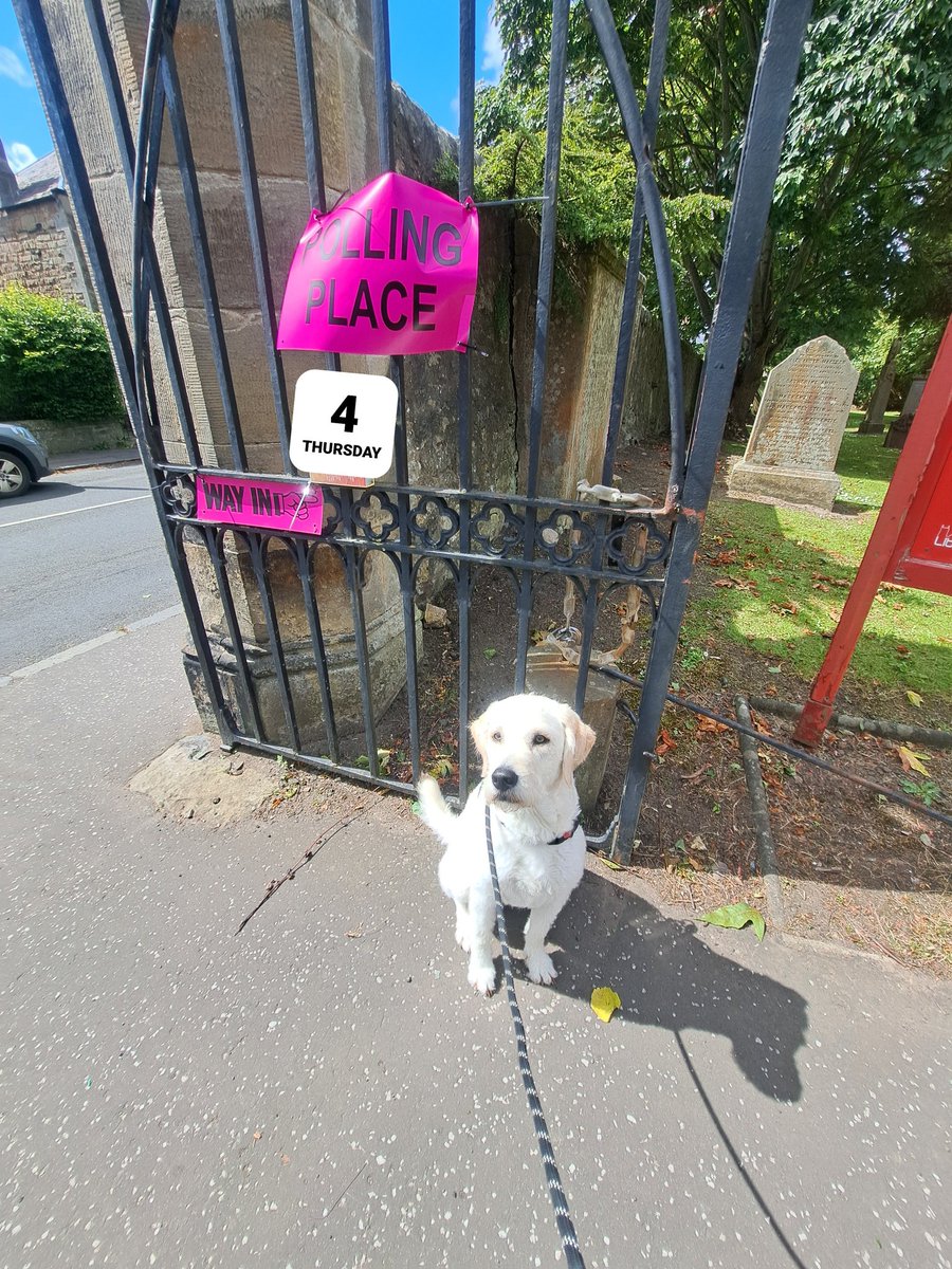 Liz Neil tweet media